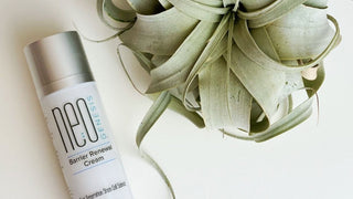 Stem Cells in Skincare - Art of Skin Care