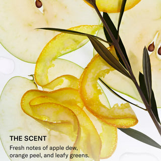 Close-up of thinly sliced green apple, citrus peel curls, and dark leafy stems on a white background, illustrating SEEN Blow-Out Creme's scent notes of apple dew, orange peel, and leafy greens.