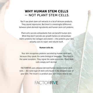 Why FACTORFIVE uses human stem cells, not plant stem cells: growth factors and proteins skin recognizes for repair