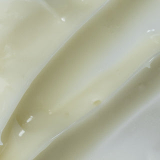 Circadia Light Day Sunscreen SPF 37 - Art of Skin Care