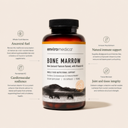 Enviromedica Bone Marrow supplement benefits infographic highlighting ancestral nutrition, cardiovascular resilience, natural immune support, and joint and tissue integrity