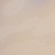 Rhonda Allison Antiox 18 Complex - Art of Skin Care