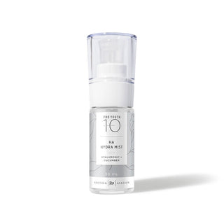 Rhonda Allison HA Hydra Mist - Art of Skin Care
