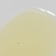 Rhonda Allison Pumpkin E Serum - Art of Skin Care