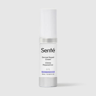 Senté Dermal Repair Cream - Art of Skin Care