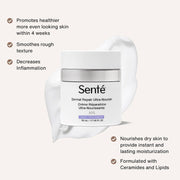 Senté Dermal Repair Ultra - Nourish - Art of Skin Care