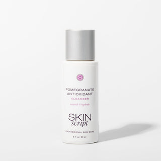 Skin Script Pomegranate Antioxidant Cleanser - Art of Skin Care
