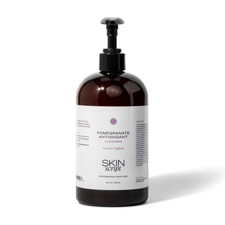 Skin Script Pomegranate Antioxidant Cleanser - Art of Skin Care