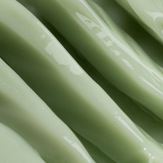 Sorella Apothecary Daily Greens Moisturizer - Art of Skin Care